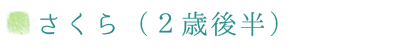 ３歳児